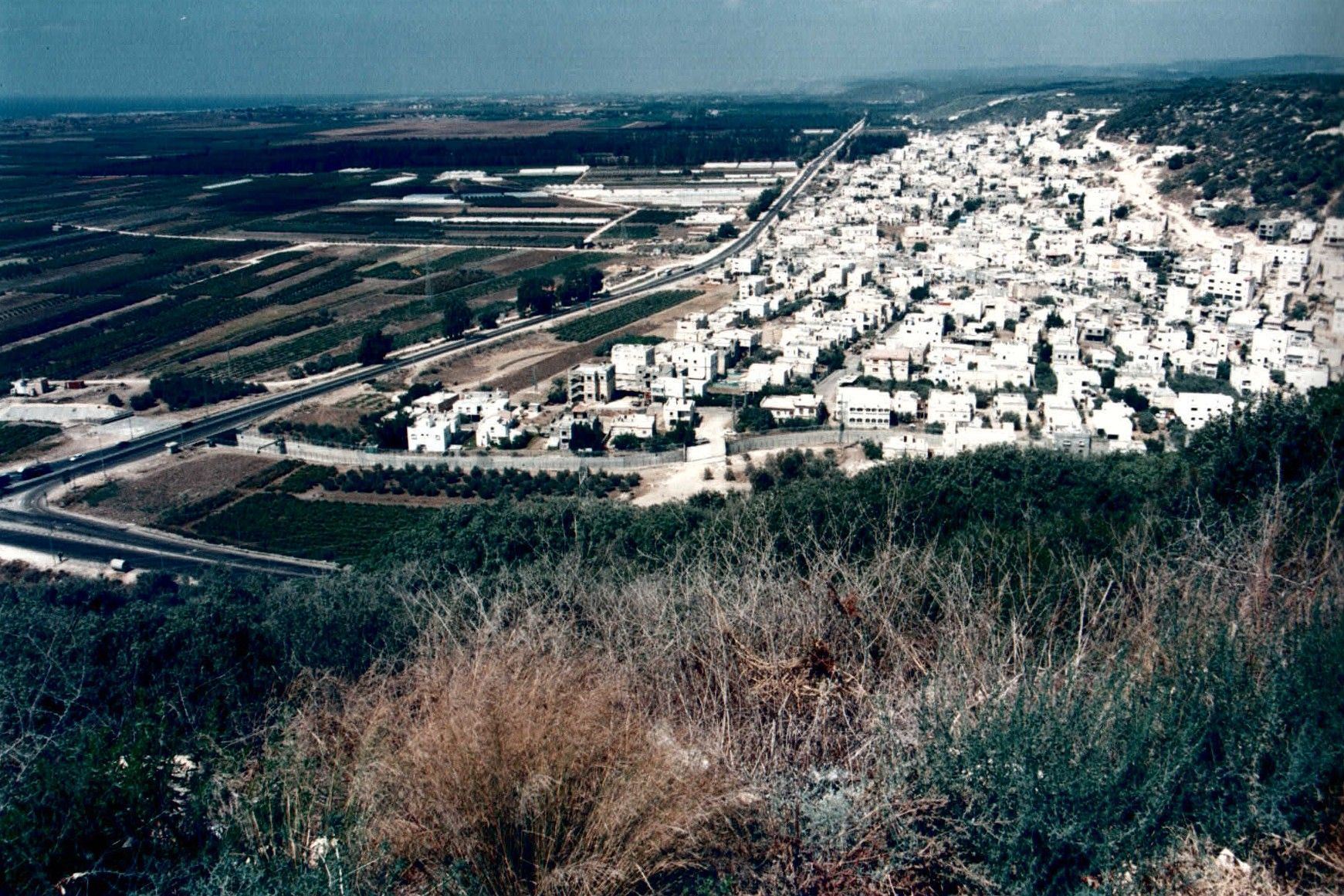 הסדרת נחל דליה - פרויקט